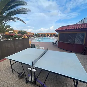 https://estrella-marina-home-suite.in-canary-islands.com